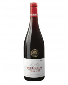 PINOT NOIR BOURGOGNE TERRES SECRETES 2020